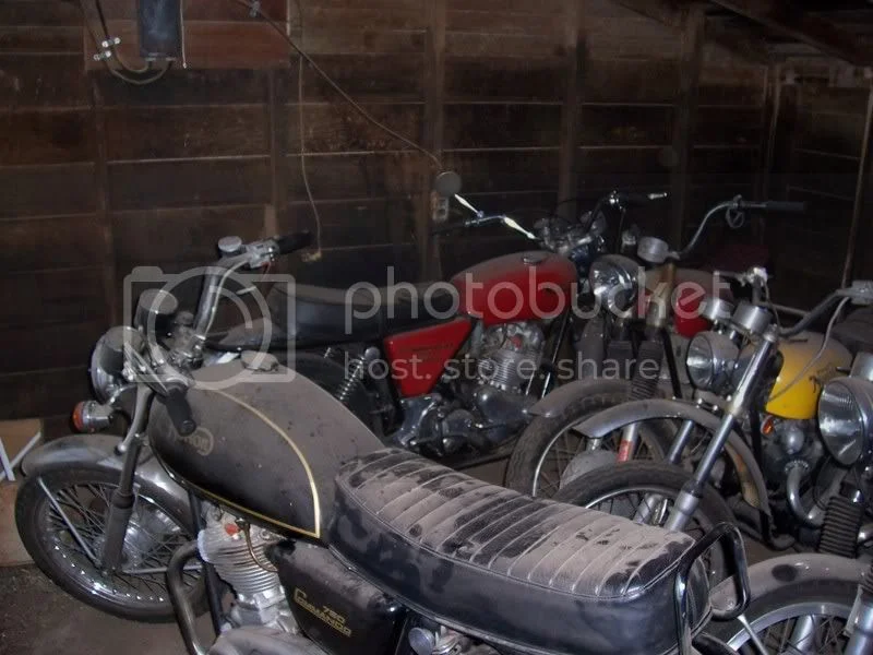 A peek into the chicken house