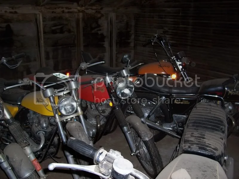 A peek into the chicken house