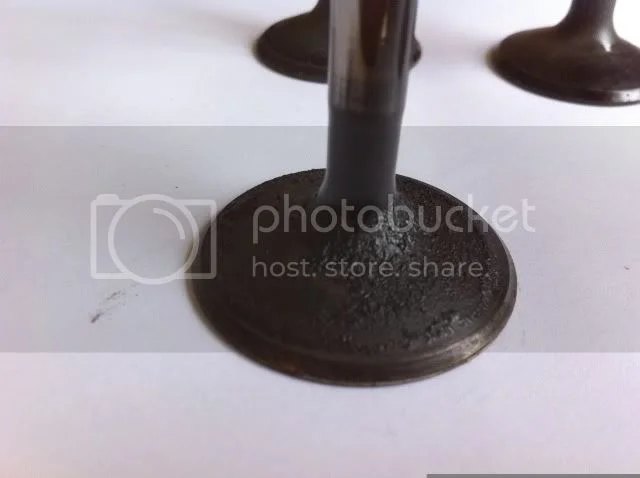 Mk3 valves, is this guide seals?