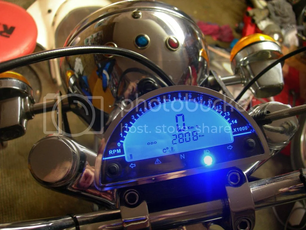 when the Smiths, Veglia are really dead