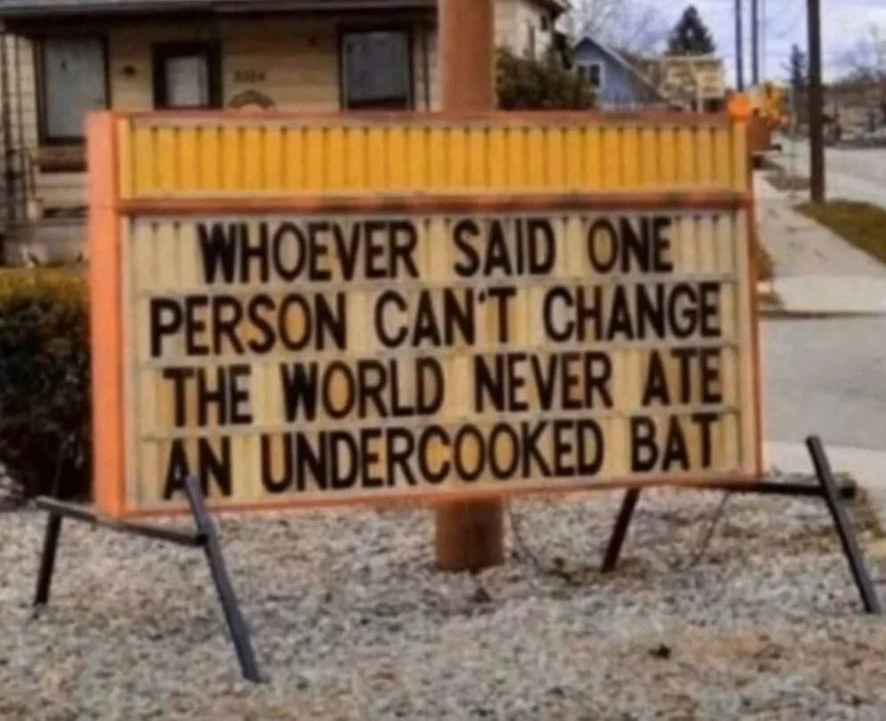 The real cost of lockdowns….