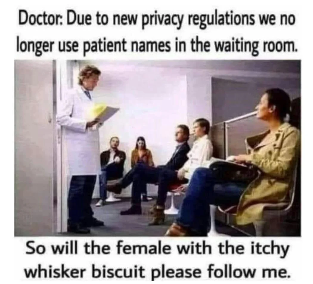 Post your jokes and humor here.