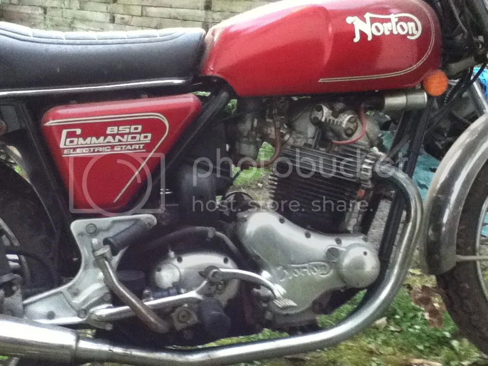 Newbie Commando owner