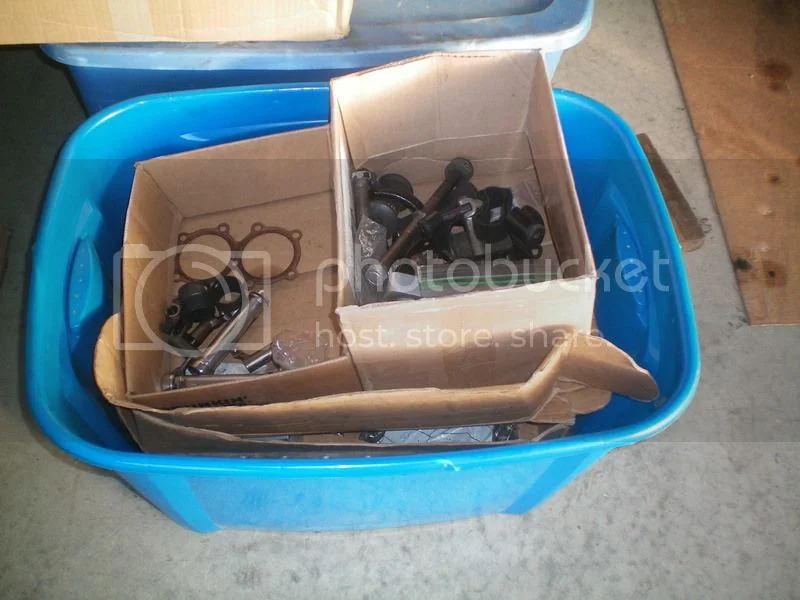 Bitsa Triumph completed