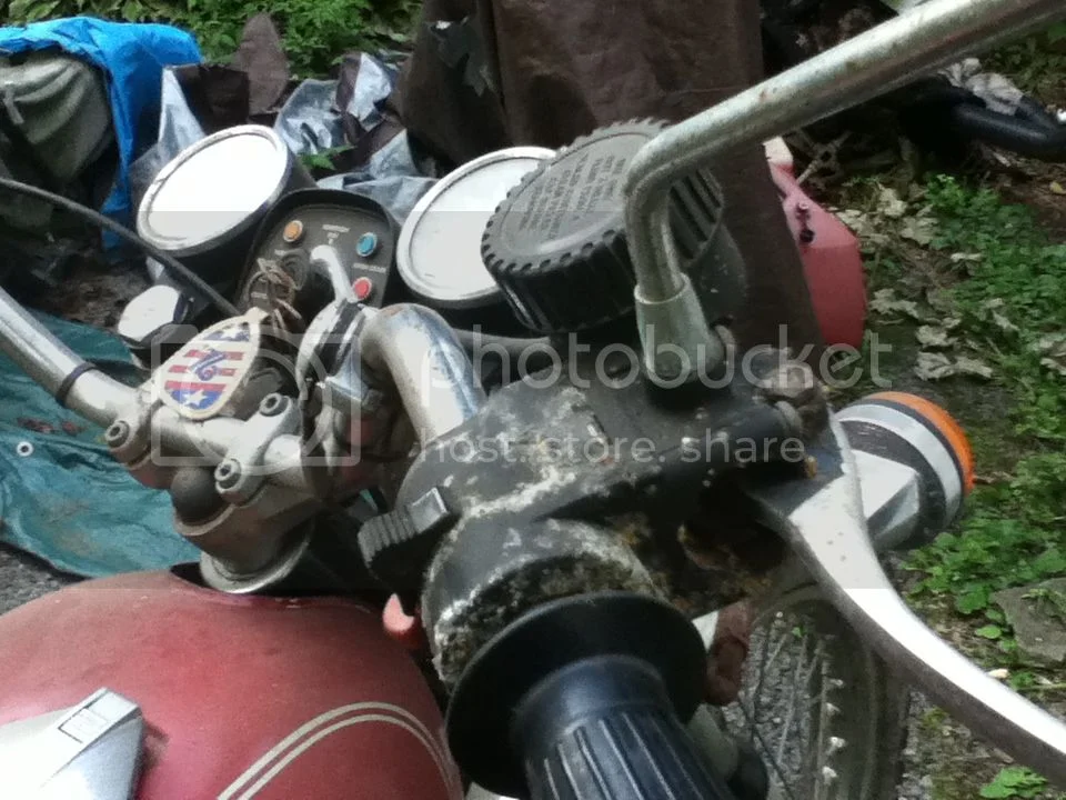 Newbie Commando owner