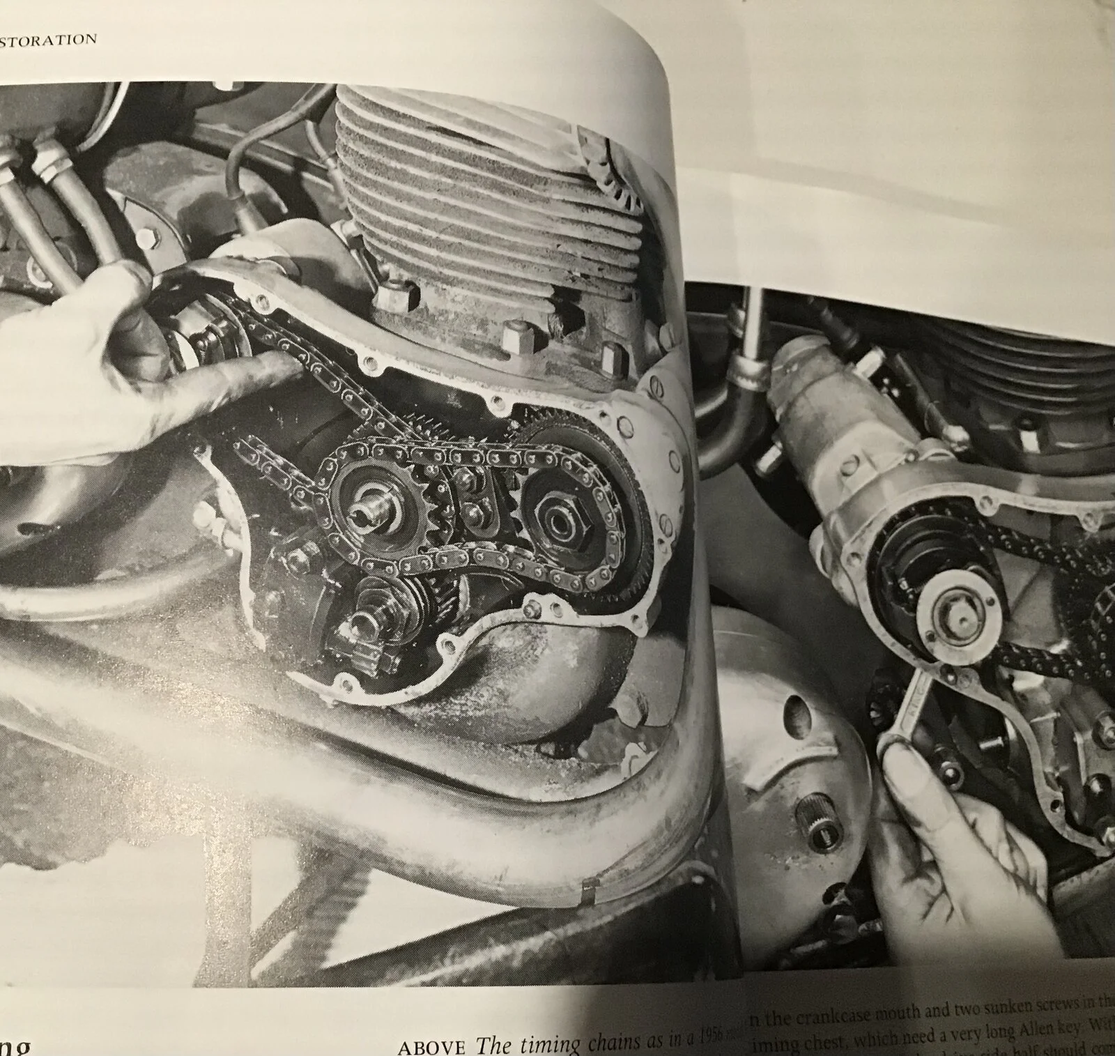 New to me 56 Domi 88.