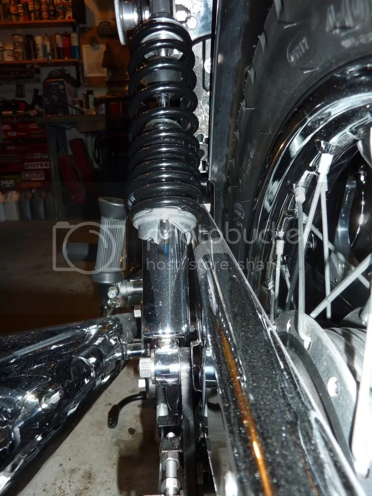 Rear Shock Absorbers