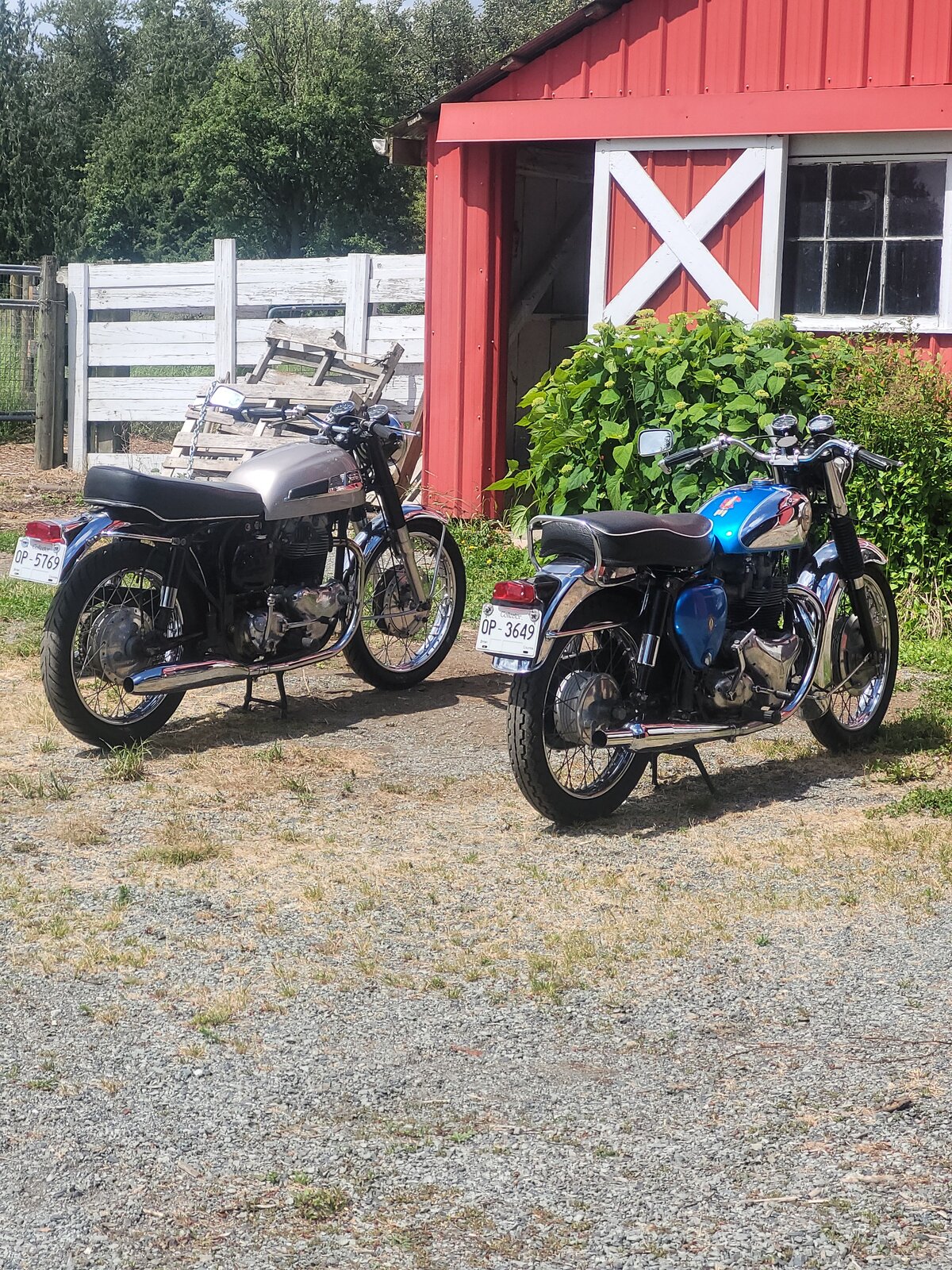 Two  1960s British 650s
