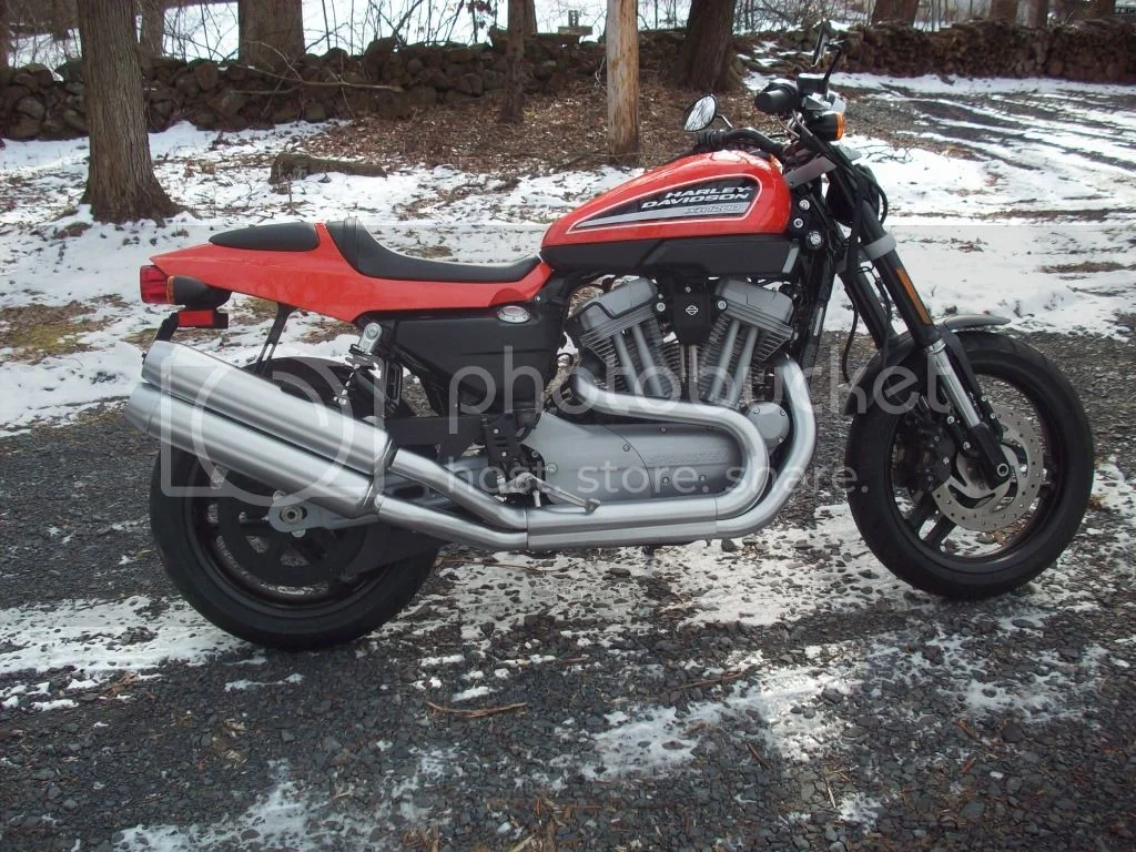 Any Harley XR1200 riders out there?
