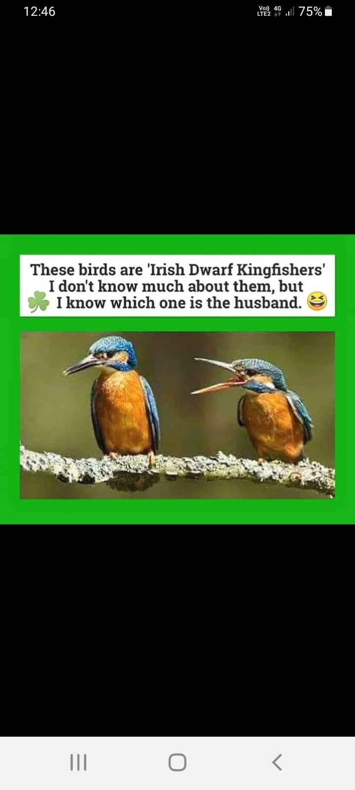 Post your jokes and humor here.