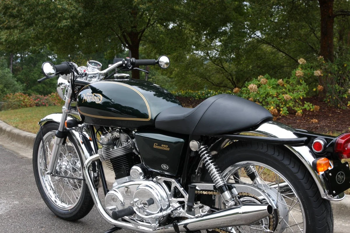 New member of the family