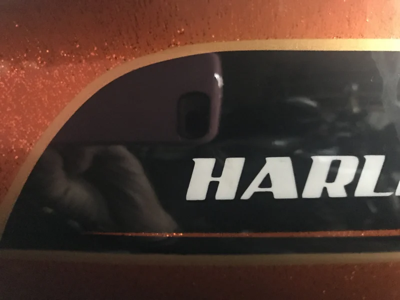 Norton 961 Alloy Tank