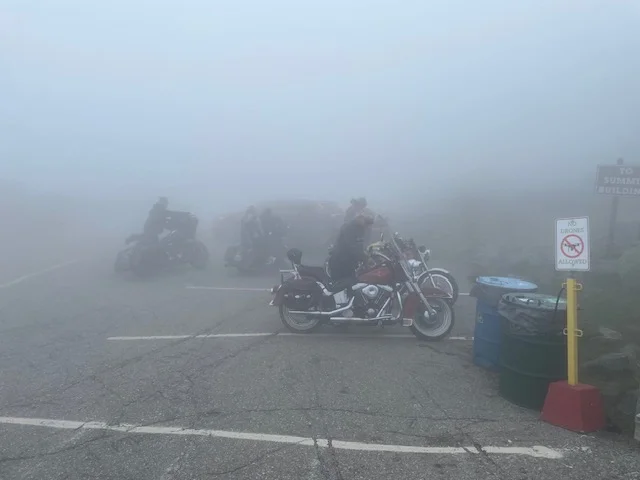 What Did You Do With Your Commando Today?