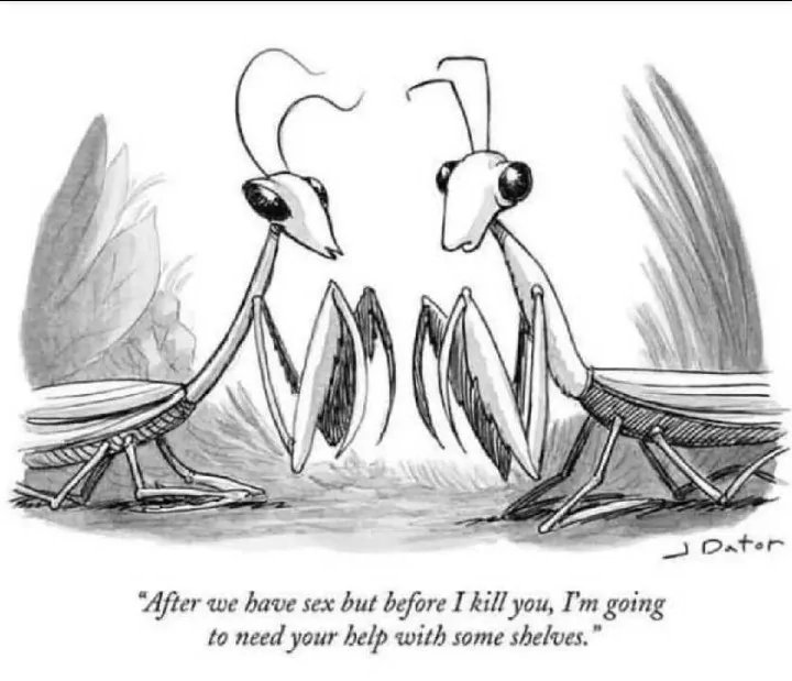 Post your jokes and humor here.