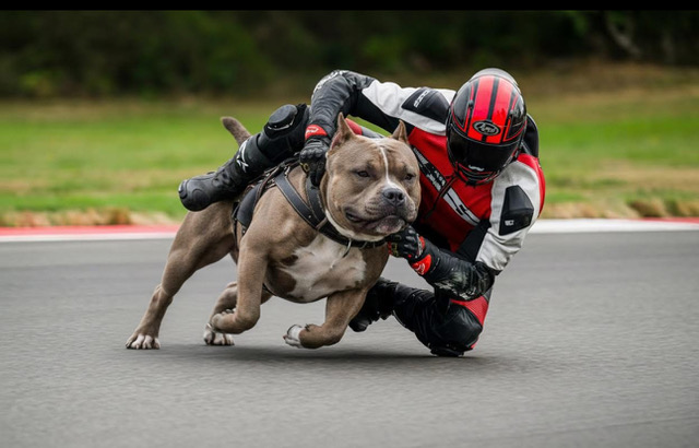 Post your jokes and humor here.