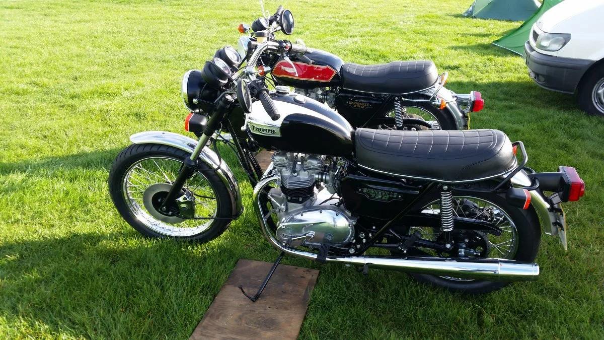 It followed me home dear, honest...