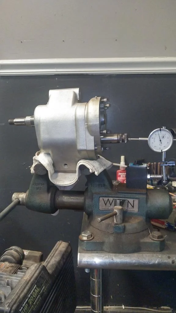 Time for Trixie to Go Under the knife