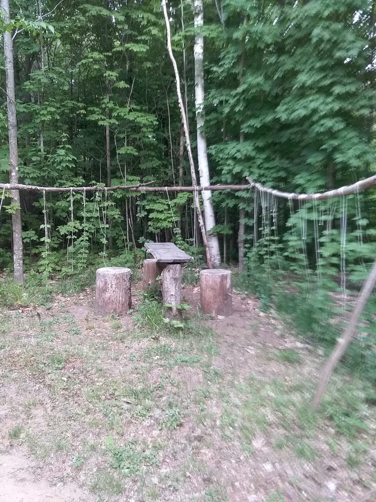 first vegetable garden