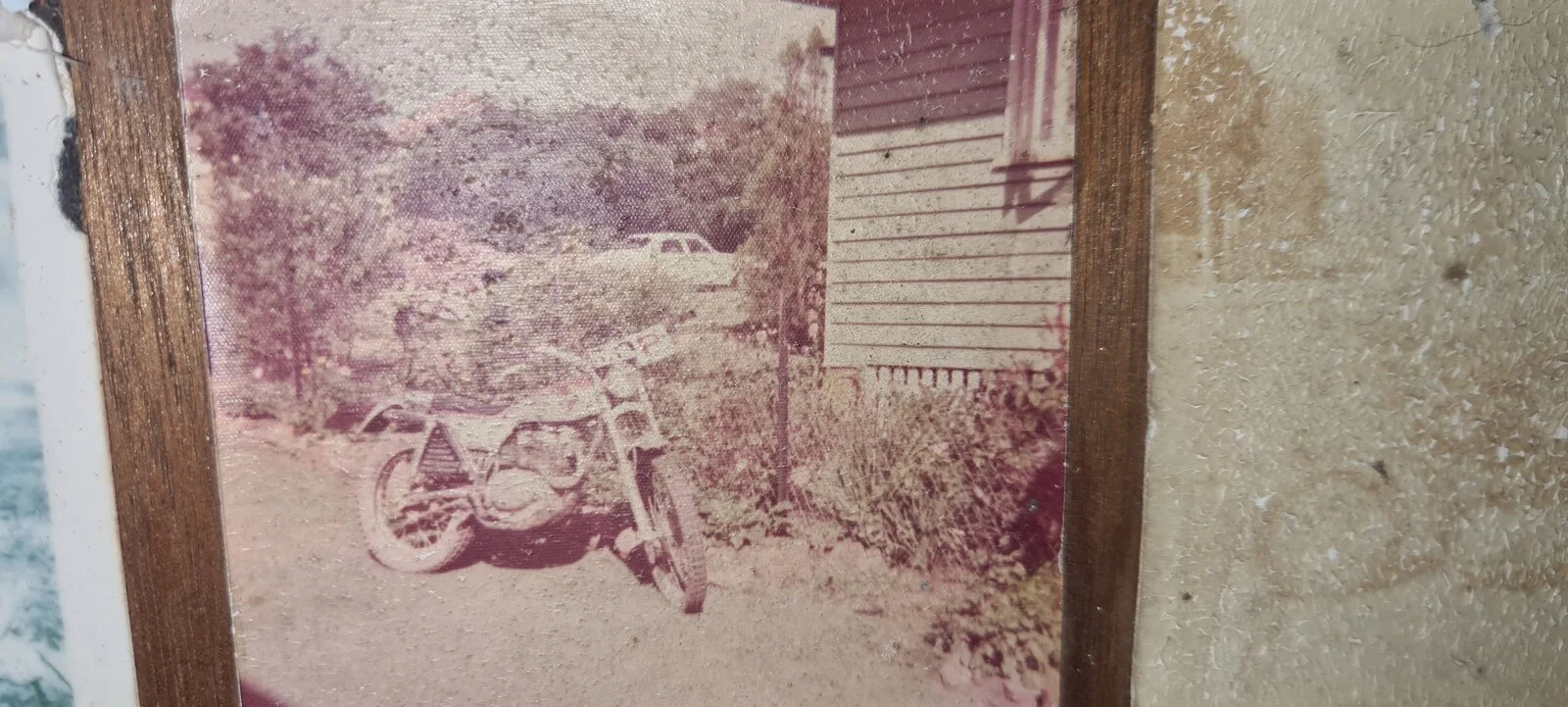 Wheelie good photos  :-)