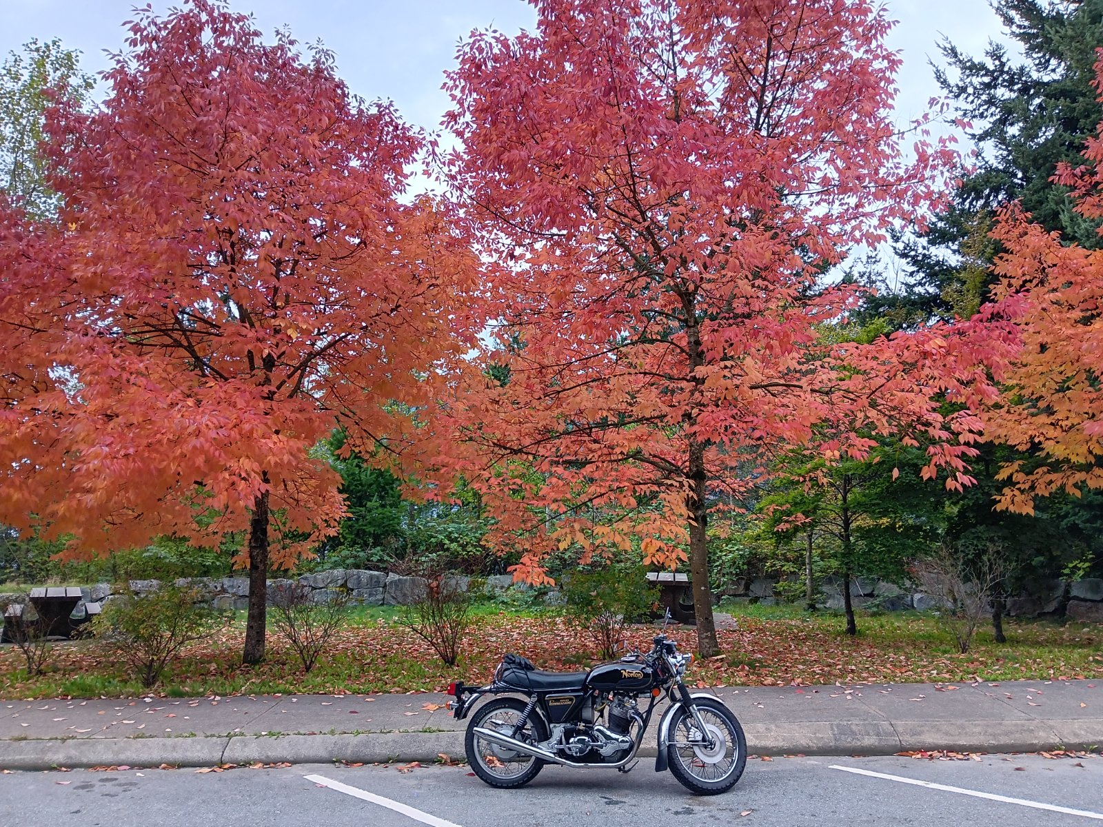 What Did You Do With Your Commando Today?