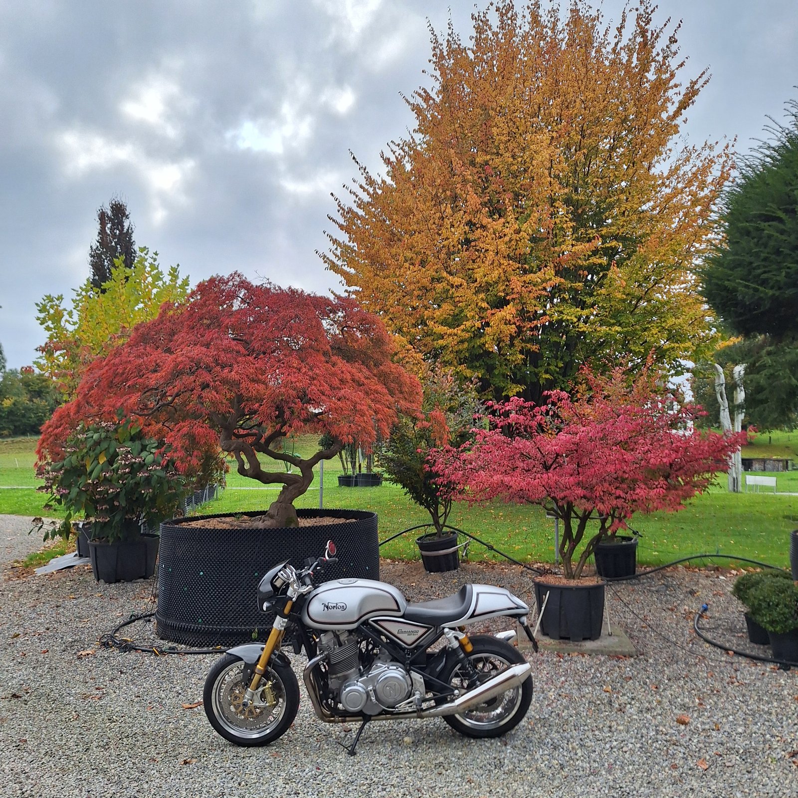 Pictures of your Norton 961