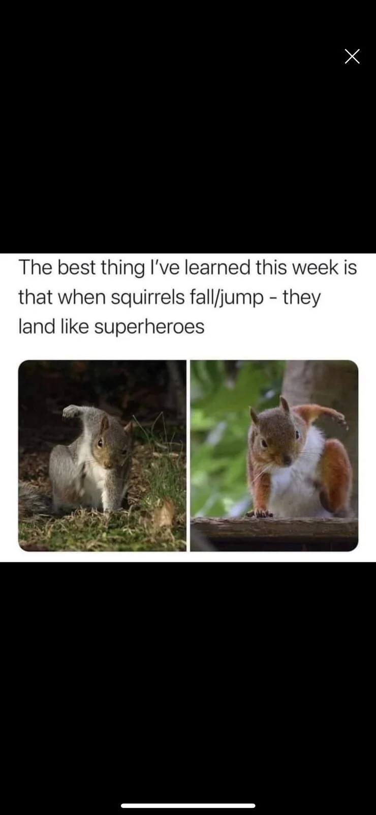 Post your jokes and humor here.