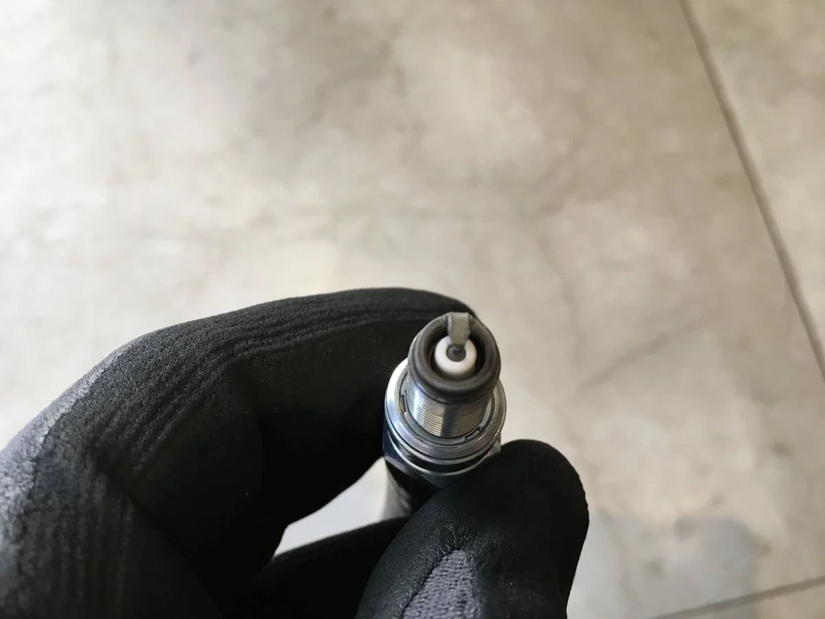 Plug chop, opinions please...