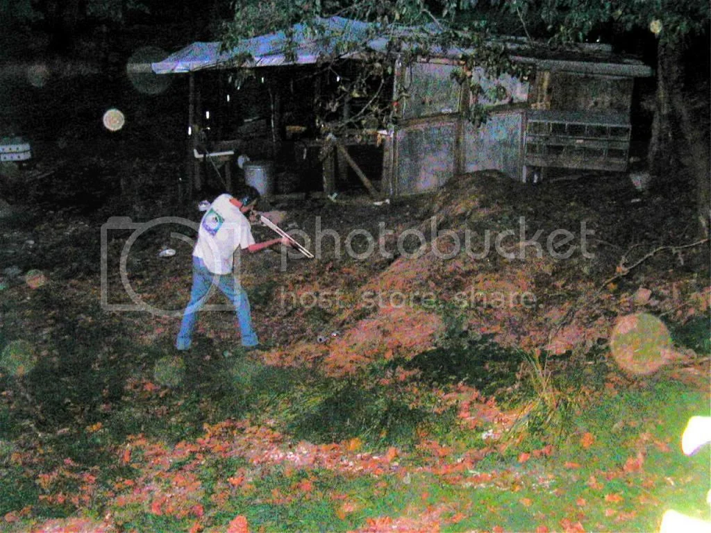 More or Less Quiet Peashooters