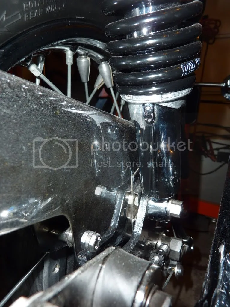 Rear Shock Absorbers