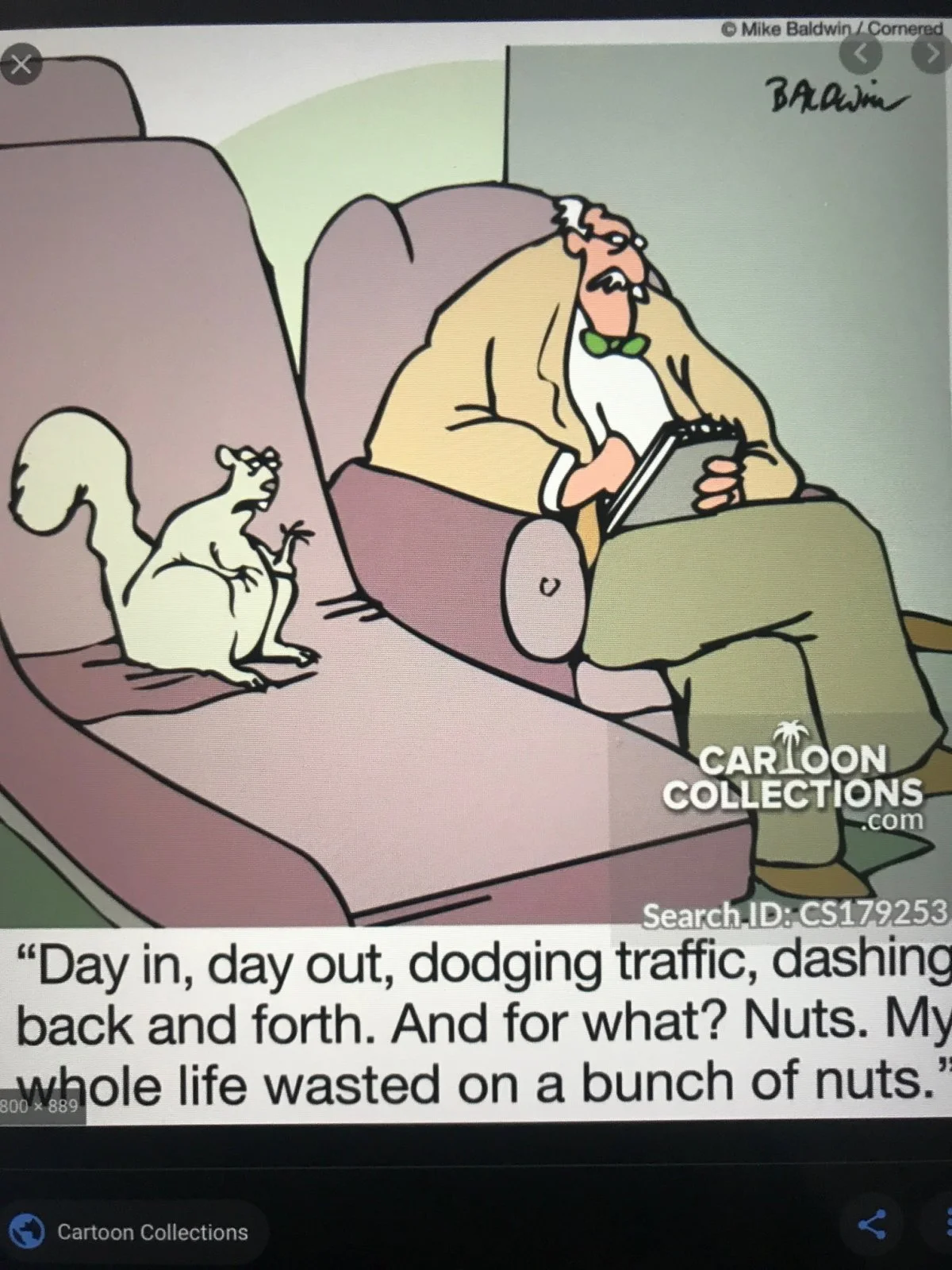 NORTON CAFE RACER/SF FOR SALE