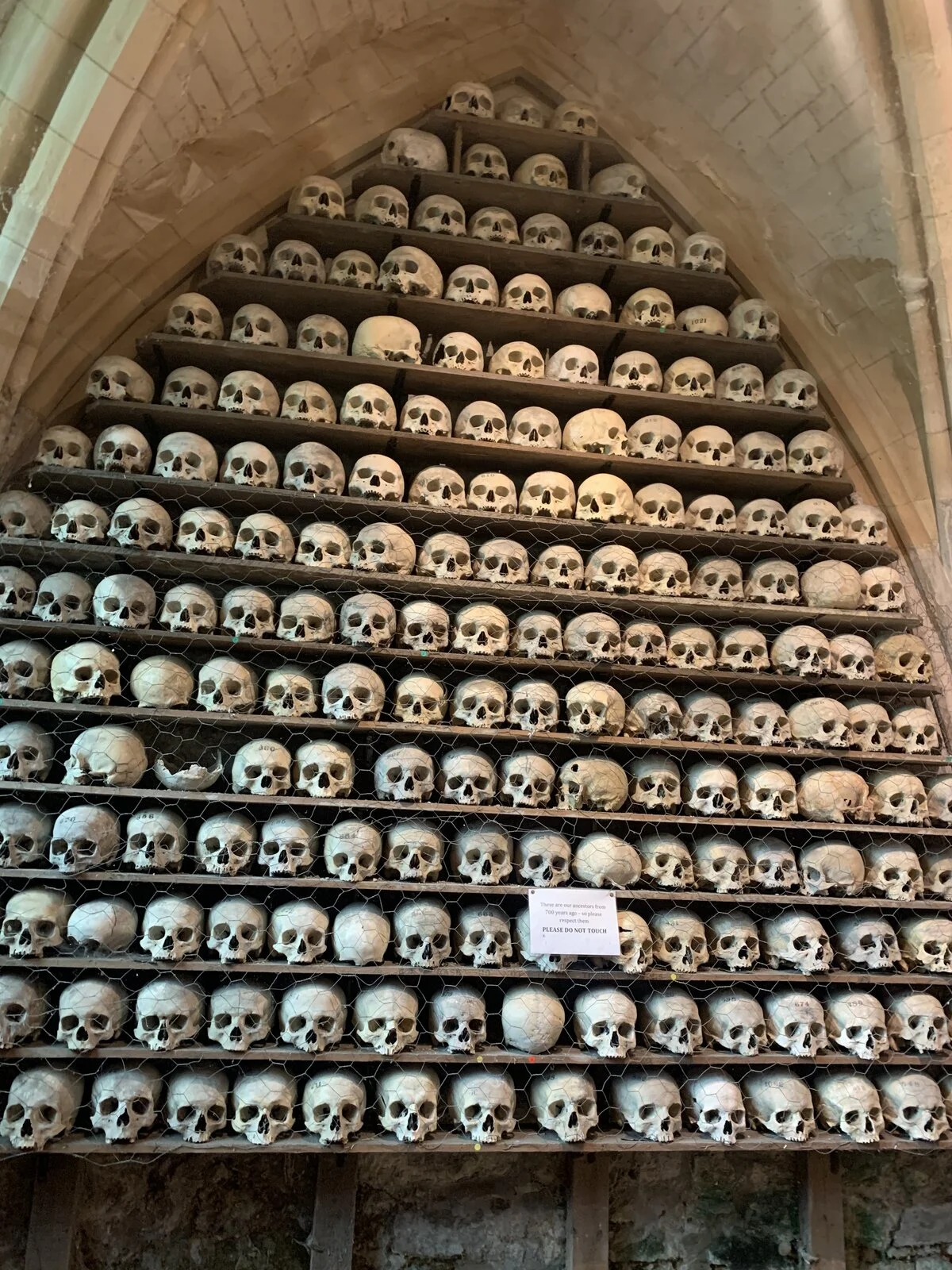 Pictures of your Norton 961