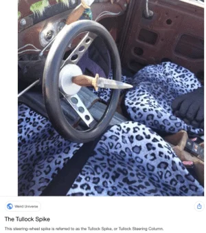 Tesla AI Kills Two Motorcyclists