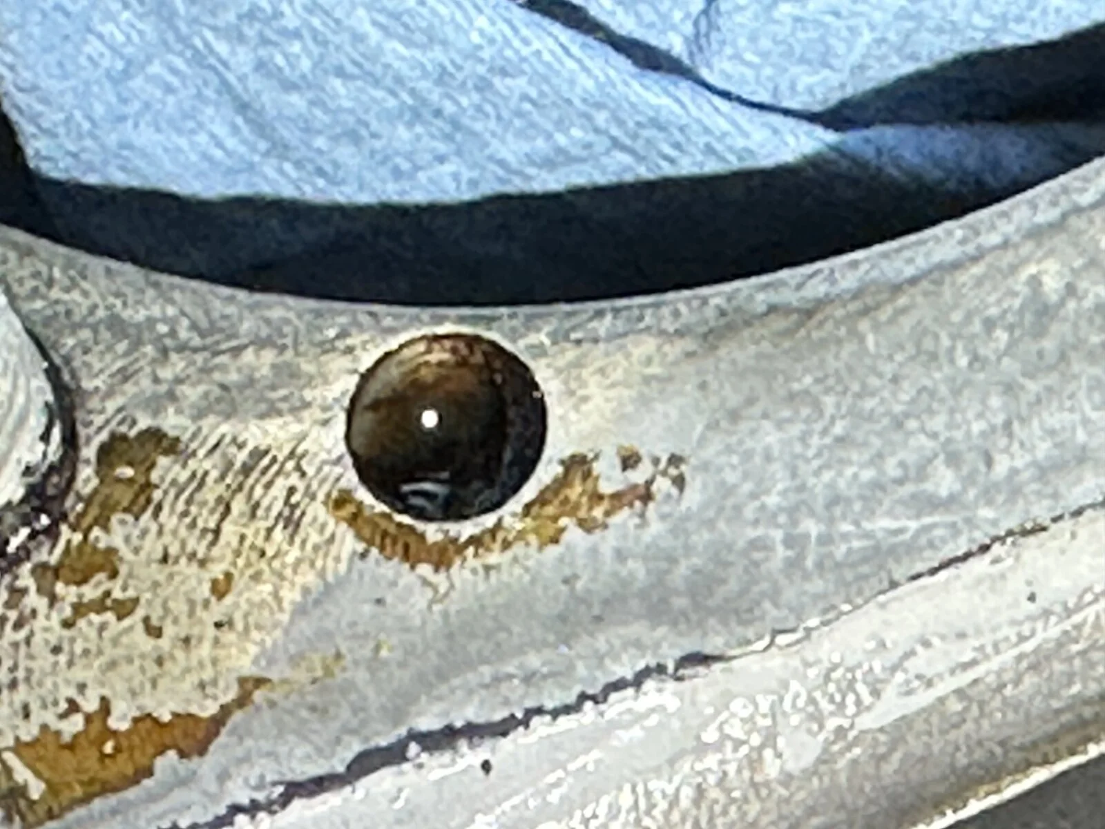 Barrell cylinder ever crack?