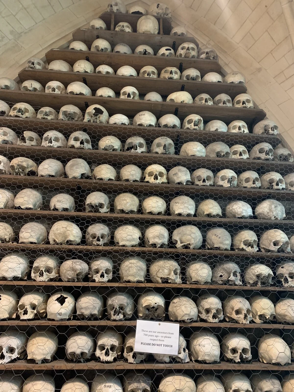 Pictures of your Norton 961