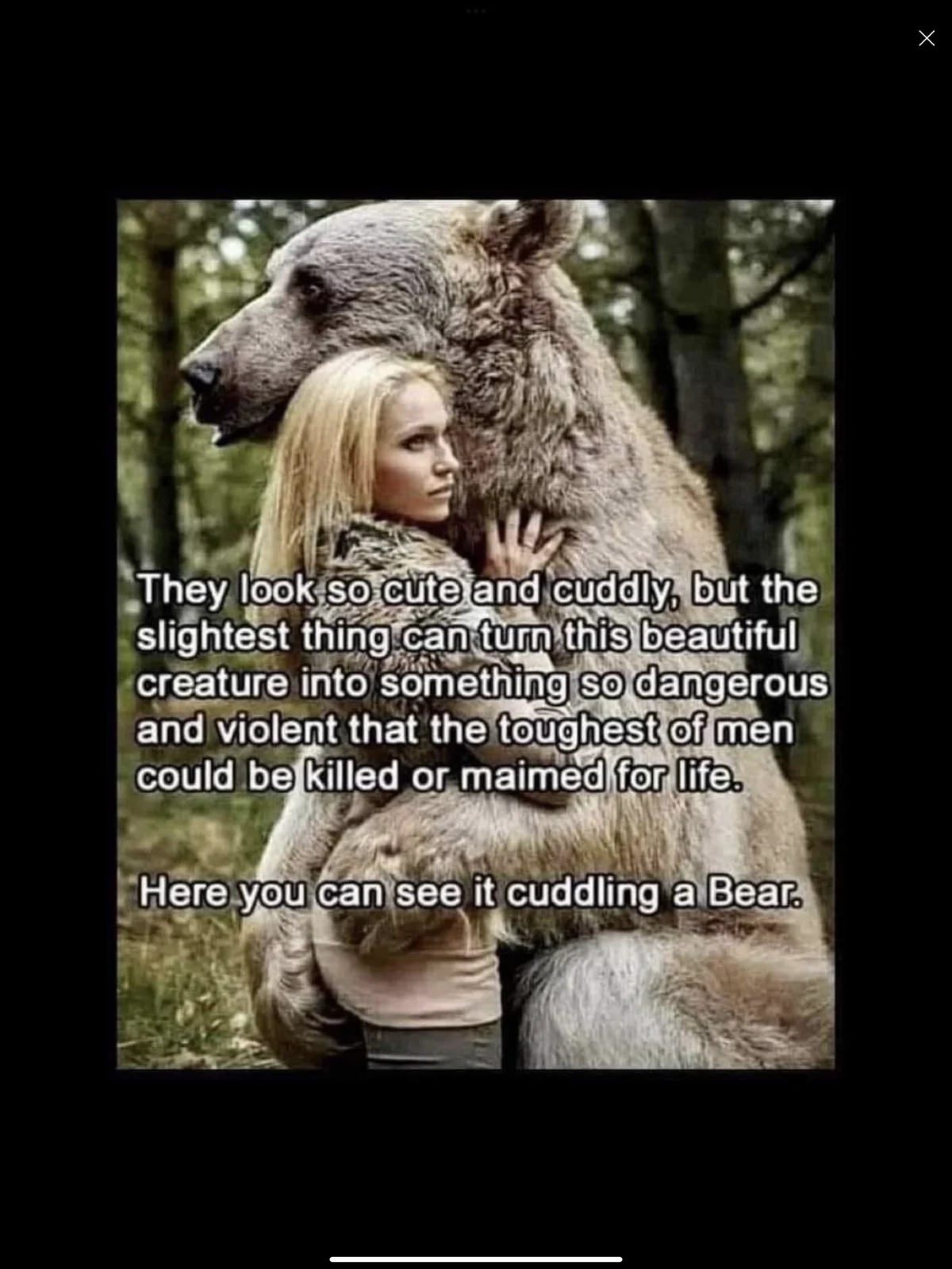 Post your jokes and humor here.