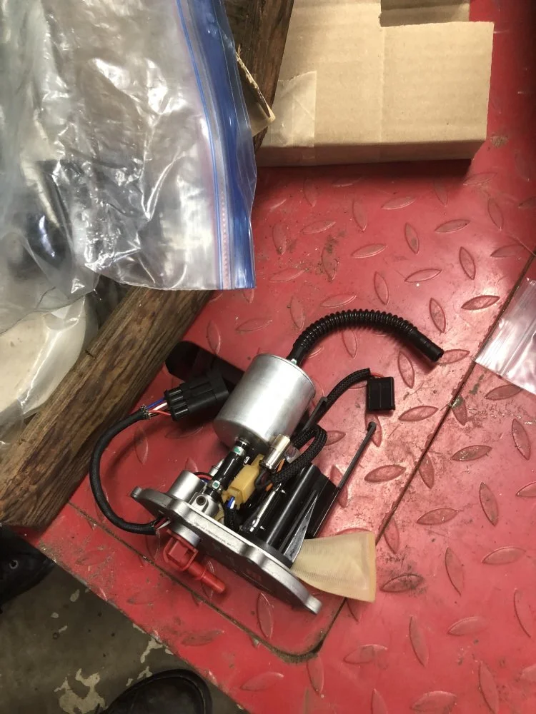 TonyA visits Niagara Falls - 2019