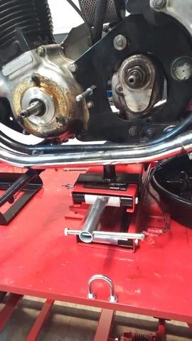 Time for Trixie to Go Under the knife