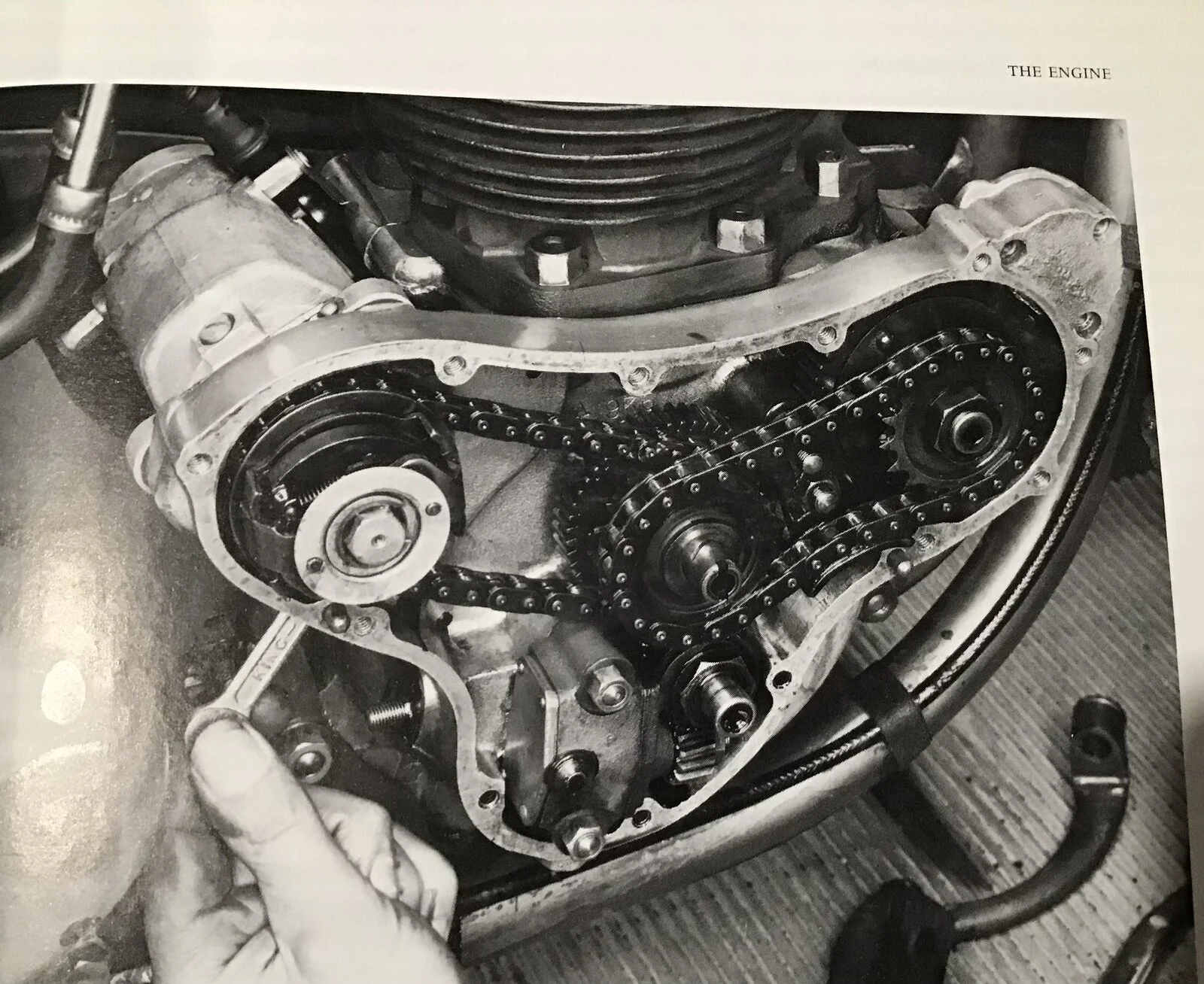 New to me 56 Domi 88.