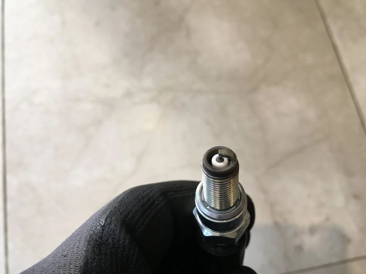 Plug chop, opinions please...