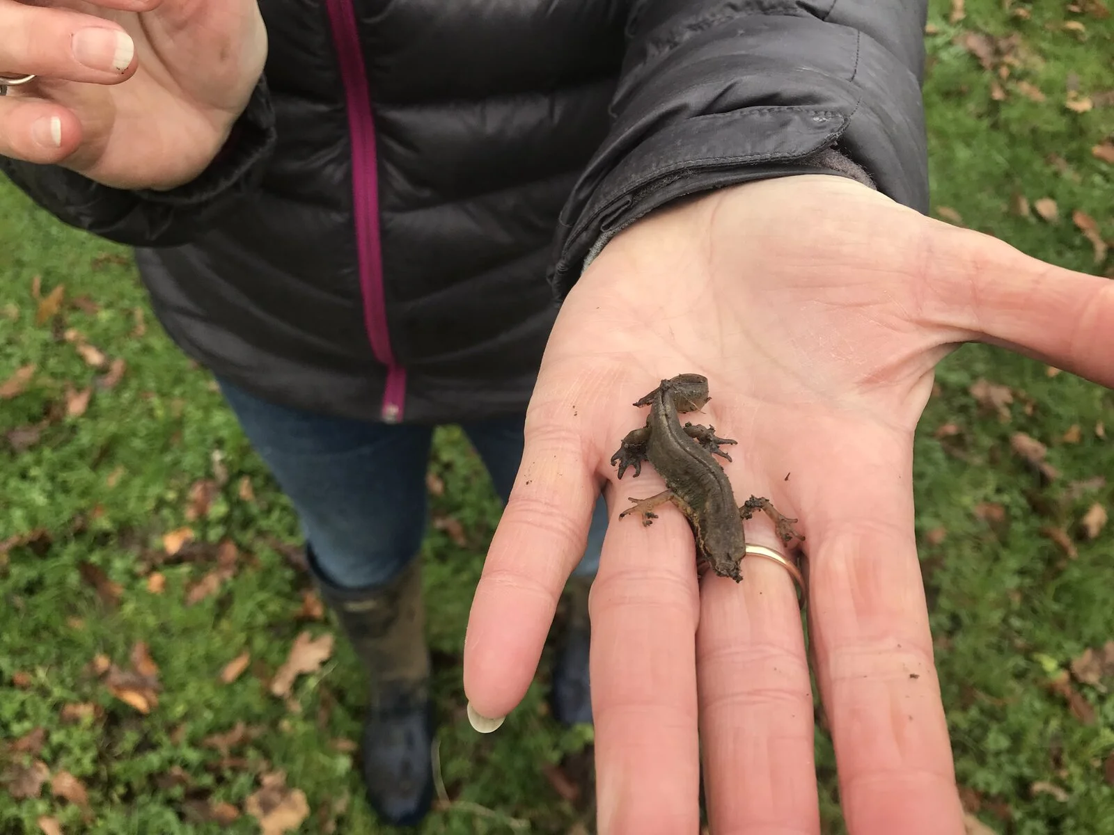 Post your jokes and humor here.