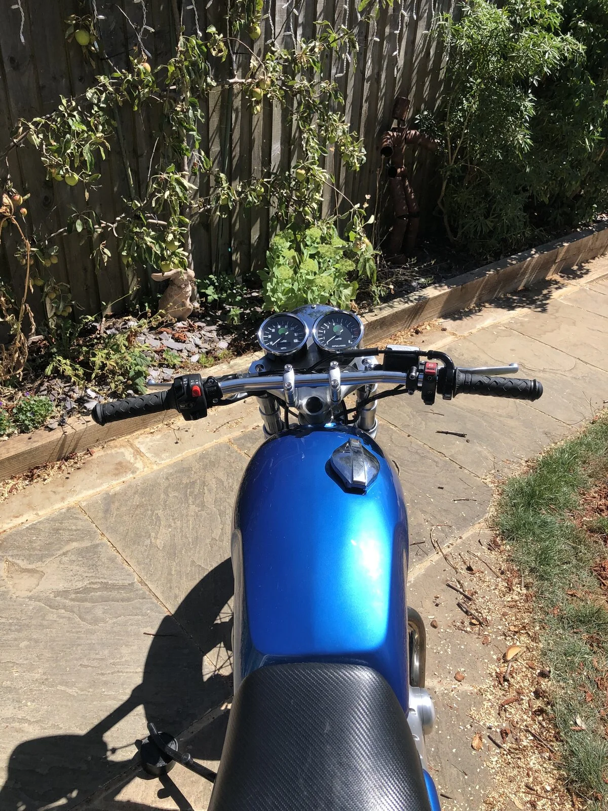 What Did You Do With Your Commando Today?