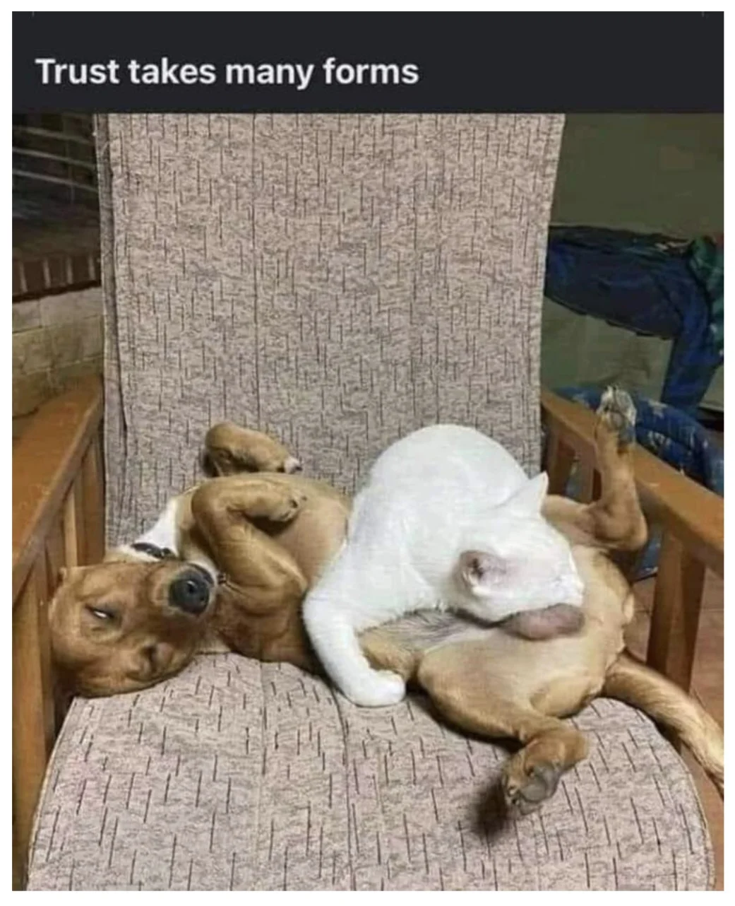 Post your jokes and humor here.