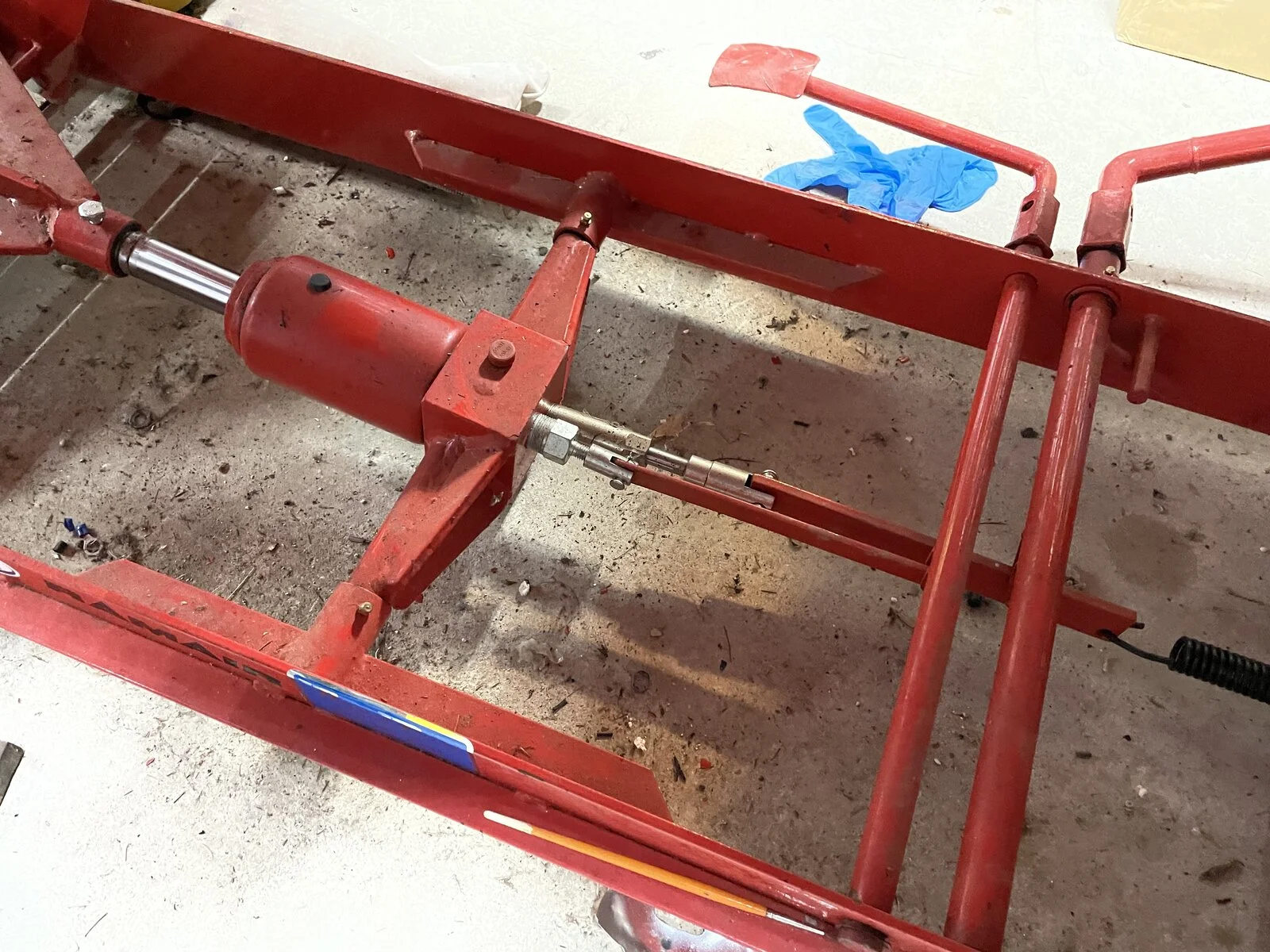 Time for Trixie to Go Under the knife