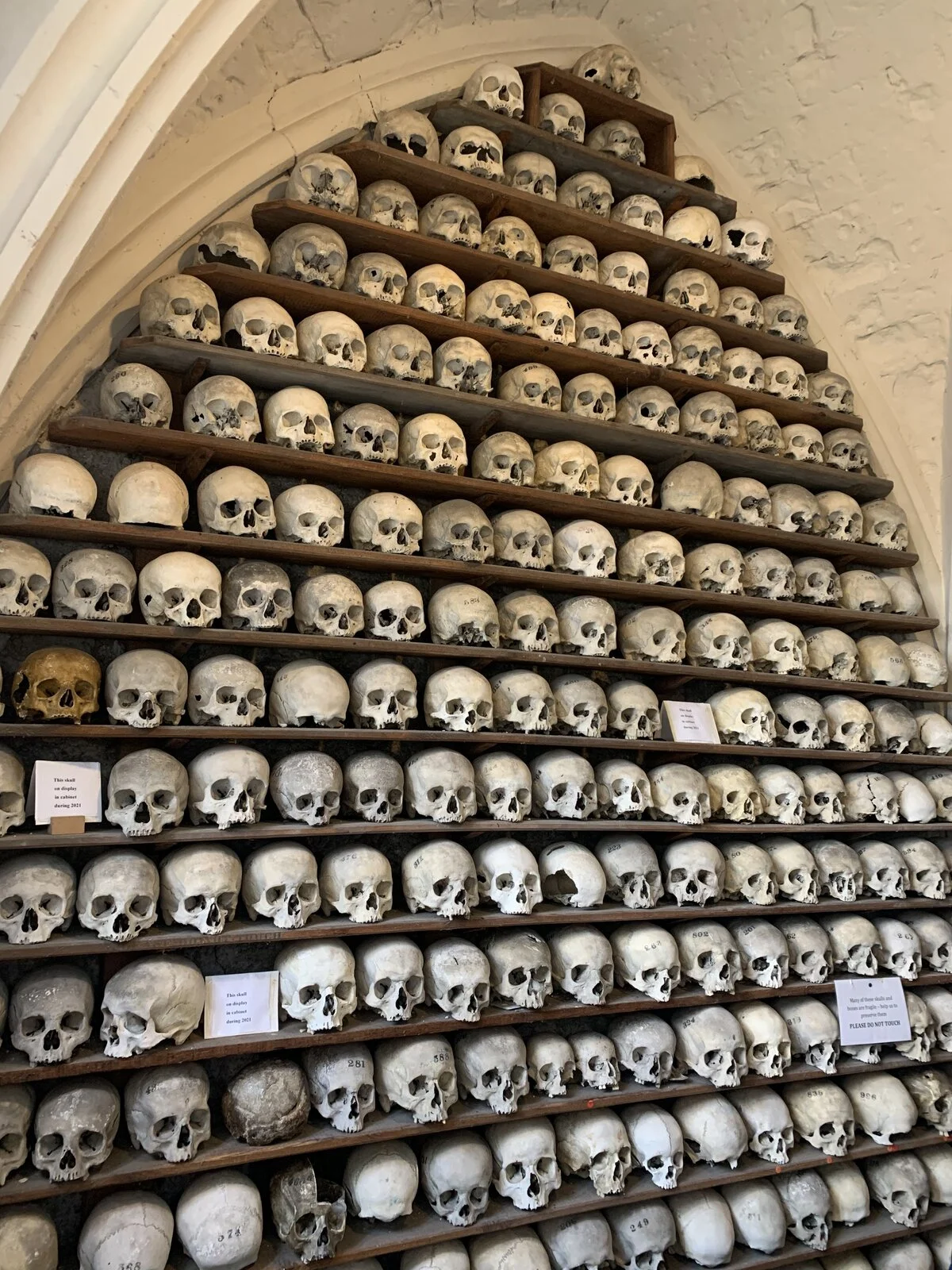 Pictures of your Norton 961