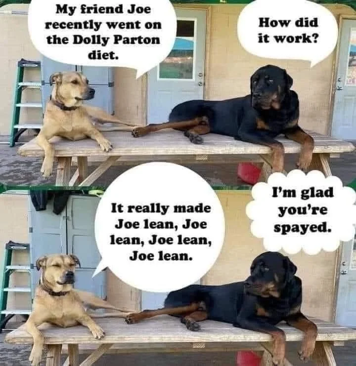 Post your jokes and humor here.