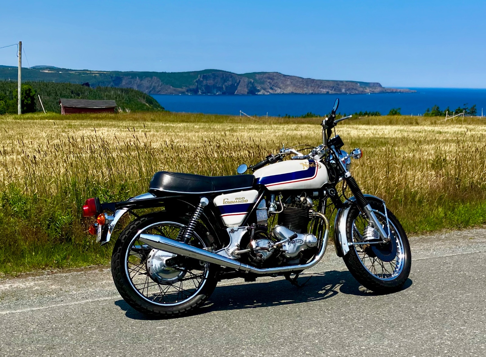 What Did You Do With Your Commando Today?