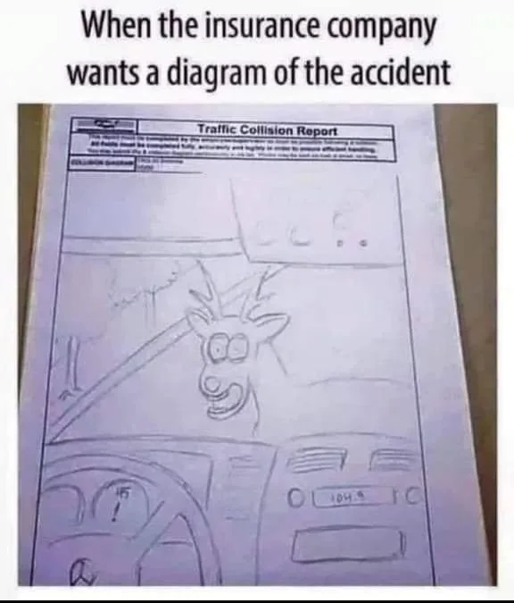 Post your jokes and humor here.