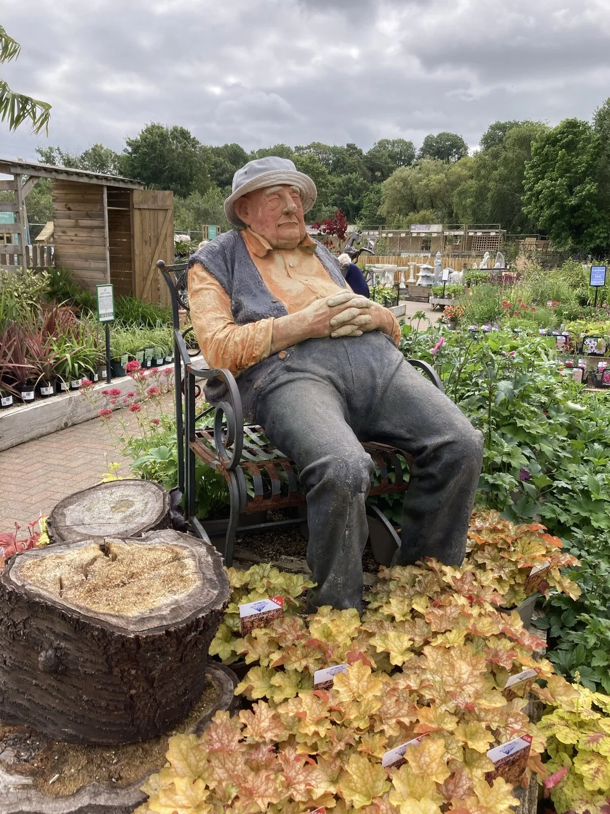 First service Motorvated