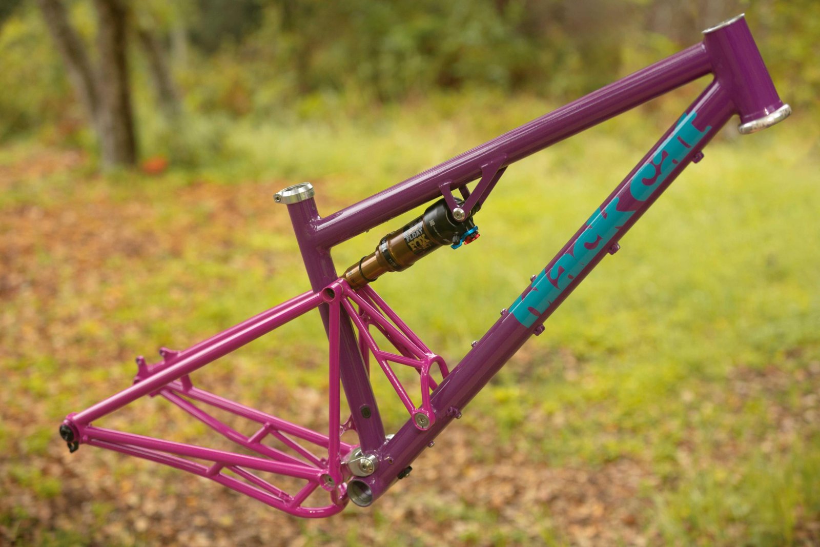 Viewer Discretion Advised. Or, A Fool and His Money Are Soon Parted.