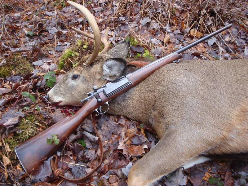 Post your jokes and humor here.